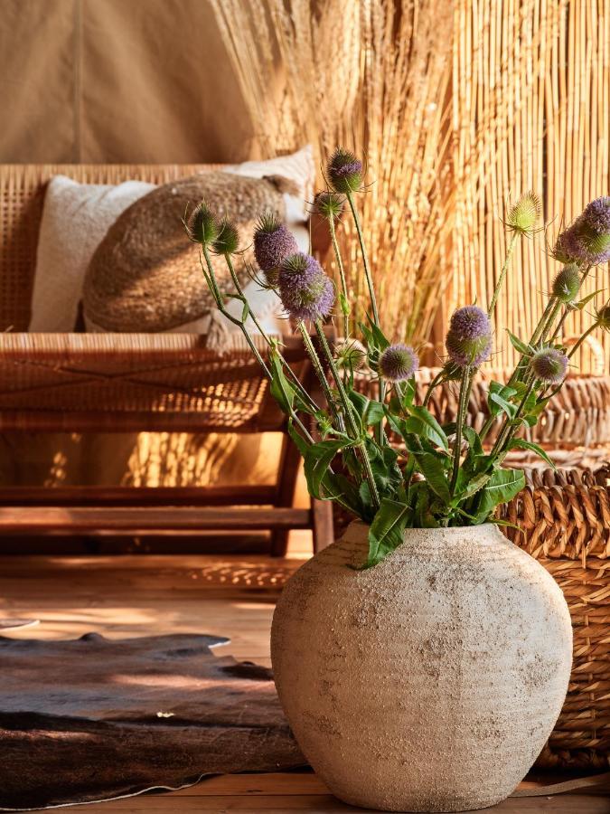 Hotel Zatoria Luxury Glamping Zator Extérieur photo