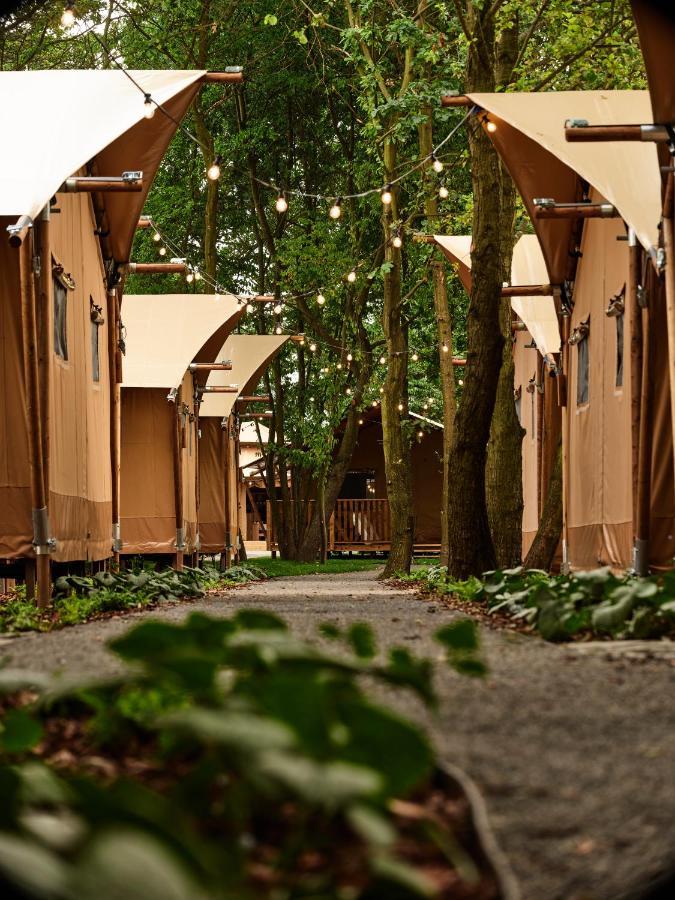 Hotel Zatoria Luxury Glamping Zator Extérieur photo